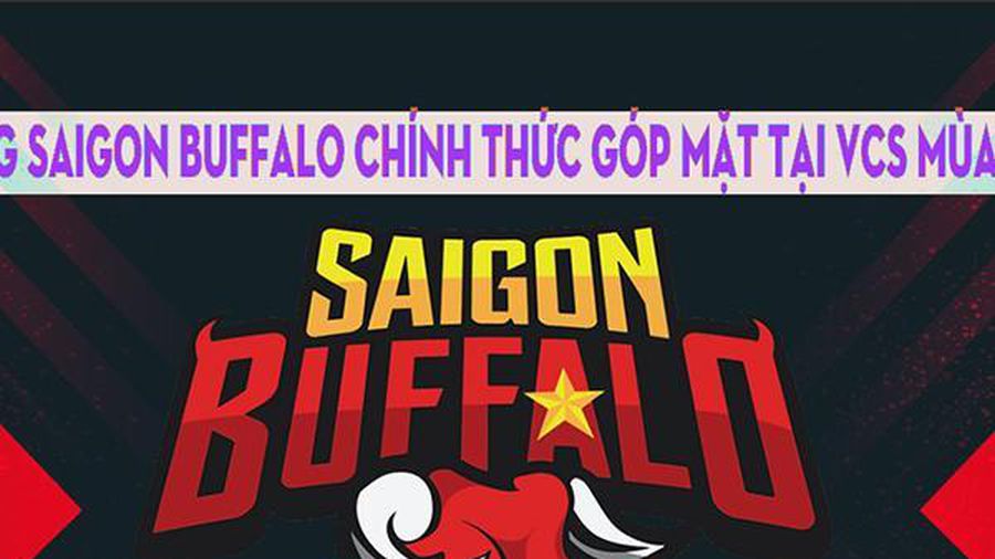 Năm Tân Sửu - Năm của Saigon Buffalo